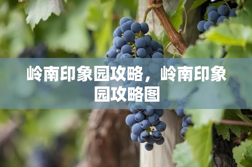 岭南印象园攻略，岭南印象园攻略图