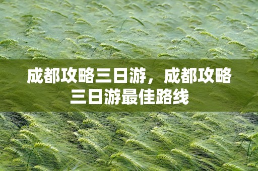 成都攻略三日游，成都攻略三日游最佳路线