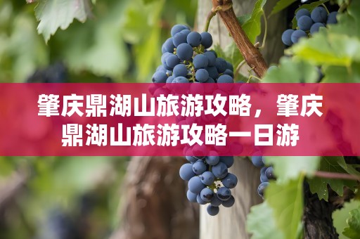 肇庆鼎湖山旅游攻略，肇庆鼎湖山旅游攻略一日游