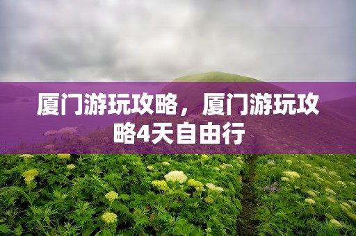 厦门游玩攻略，厦门游玩攻略4天自由行