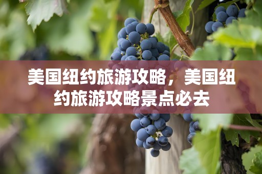 美国纽约旅游攻略，美国纽约旅游攻略景点必去