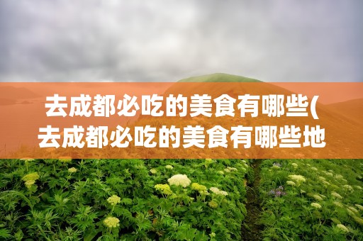去成都必吃的美食有哪些(去成都必吃的美食有哪些地方)