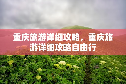 重庆旅游详细攻略，重庆旅游详细攻略自由行