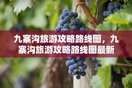 九寨沟旅游攻略路线图，九寨沟旅游攻略路线图最新