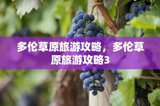 多伦草原旅游攻略，多伦草原旅游攻略3