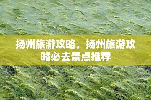 扬州旅游攻略，扬州旅游攻略必去景点推荐