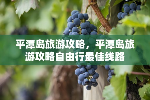 平潭岛旅游攻略，平潭岛旅游攻略自由行最佳线路