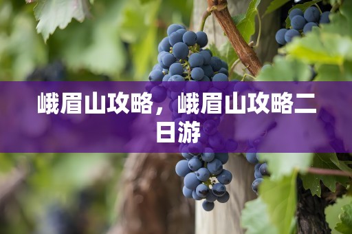 峨眉山攻略，峨眉山攻略二日游