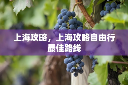 上海攻略，上海攻略自由行最佳路线