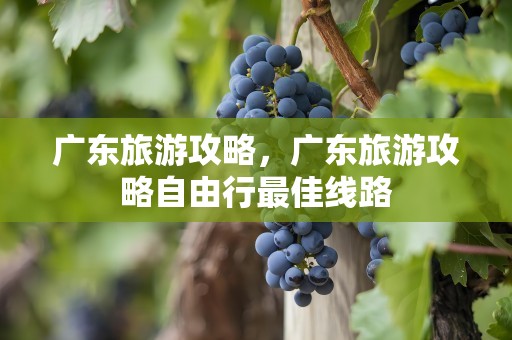 广东旅游攻略，广东旅游攻略自由行最佳线路