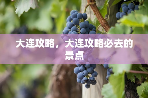 大连攻略，大连攻略必去的景点