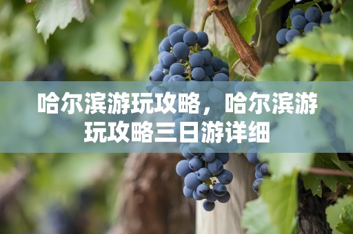 哈尔滨游玩攻略，哈尔滨游玩攻略三日游详细