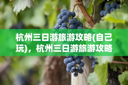 杭州三日游旅游攻略(自己玩)，杭州三日游旅游攻略(自己玩)苏州有哪些景点