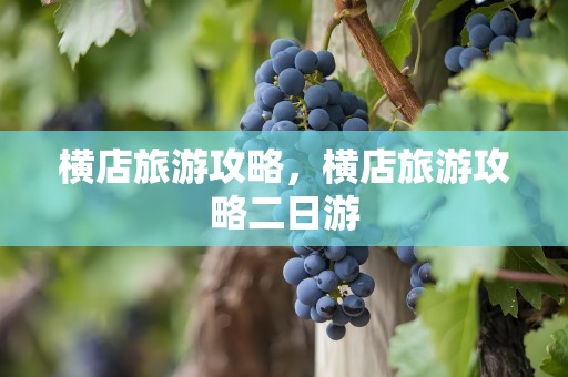 横店旅游攻略，横店旅游攻略二日游