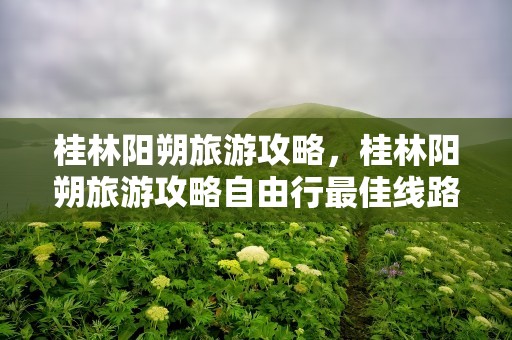 桂林阳朔旅游攻略，桂林阳朔旅游攻略自由行最佳线路