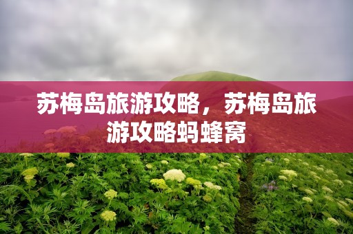 苏梅岛旅游攻略，苏梅岛旅游攻略蚂蜂窝