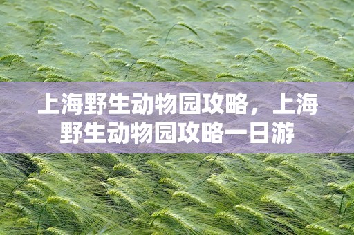 上海野生动物园攻略，上海野生动物园攻略一日游