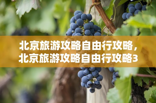 北京旅游攻略自由行攻略，北京旅游攻略自由行攻略3天