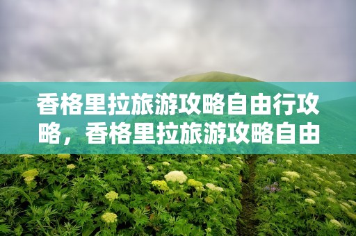 香格里拉旅游攻略自由行攻略，香格里拉旅游攻略自由行攻略图