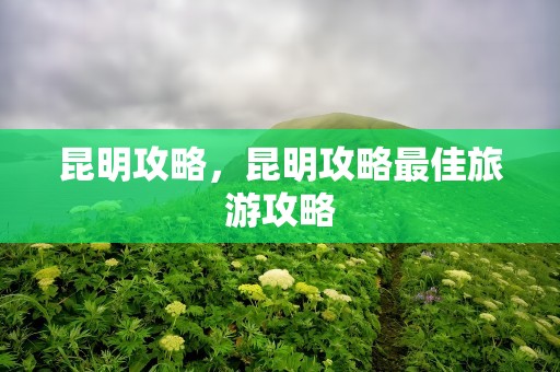 昆明攻略，昆明攻略最佳旅游攻略