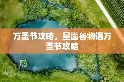 万圣节攻略，星露谷物语万圣节攻略