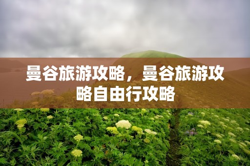 曼谷旅游攻略，曼谷旅游攻略自由行攻略