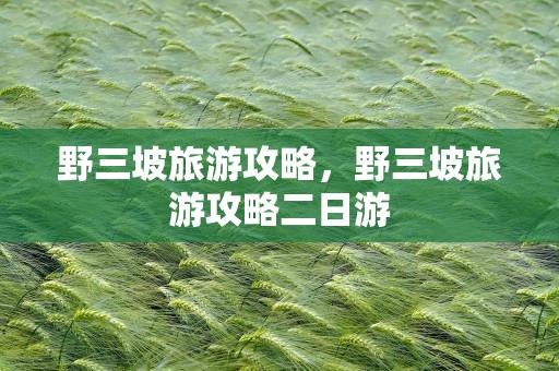 野三坡旅游攻略，野三坡旅游攻略二日游