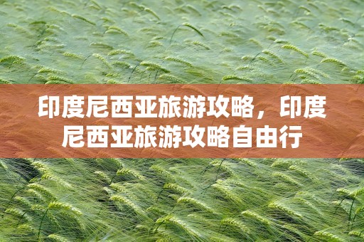 印度尼西亚旅游攻略，印度尼西亚旅游攻略自由行