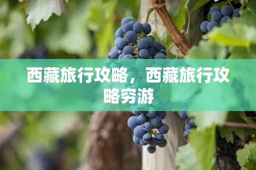 西藏旅行攻略，西藏旅行攻略穷游