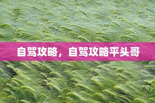 自驾攻略，自驾攻略平头哥