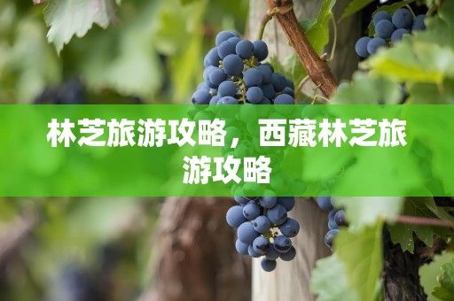 林芝旅游攻略，西藏林芝旅游攻略
