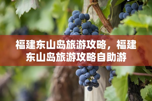 福建东山岛旅游攻略，福建东山岛旅游攻略自助游
