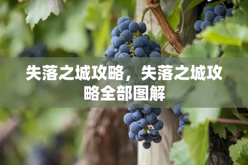 失落之城攻略，失落之城攻略全部图解