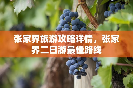 张家界旅游攻略详情，张家界二日游最佳路线