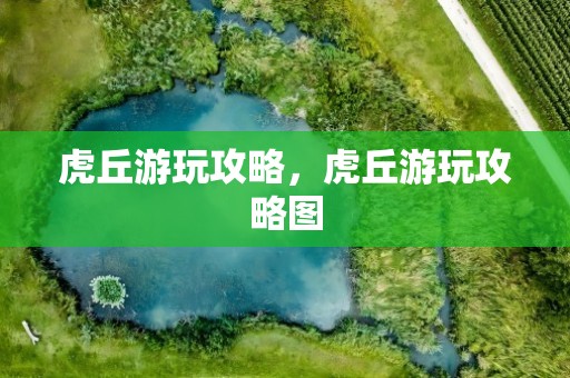 虎丘游玩攻略，虎丘游玩攻略图