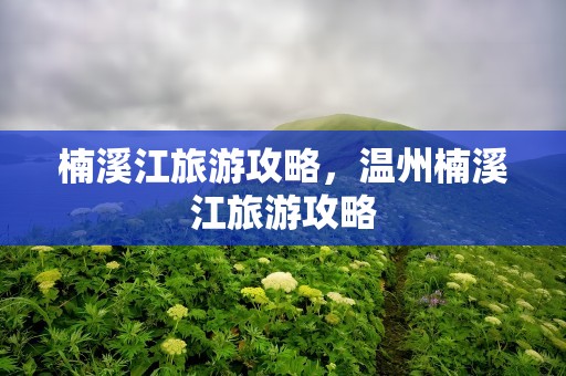 楠溪江旅游攻略，温州楠溪江旅游攻略