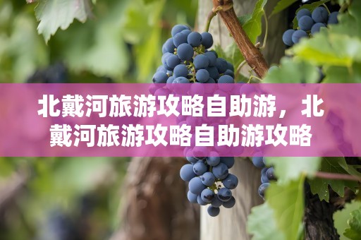 北戴河旅游攻略自助游，北戴河旅游攻略自助游攻略