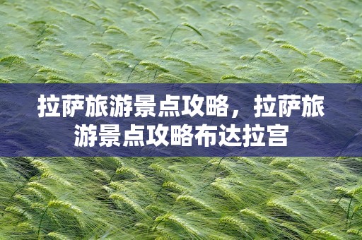 拉萨旅游景点攻略，拉萨旅游景点攻略布达拉宫