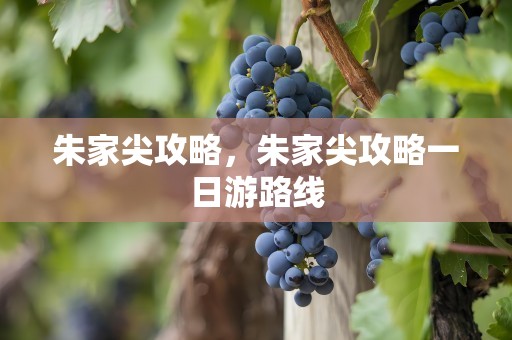 朱家尖攻略，朱家尖攻略一日游路线