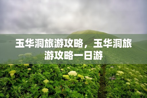 玉华洞旅游攻略，玉华洞旅游攻略一日游