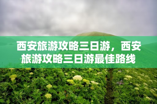 西安旅游攻略三日游，西安旅游攻略三日游最佳路线