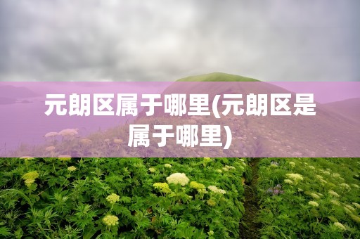元朗区属于哪里(元朗区是属于哪里)
