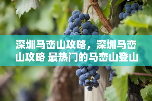 深圳马峦山攻略，深圳马峦山攻略 最热门的马峦山登山路线