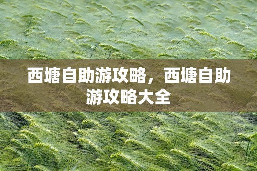 西塘自助游攻略，西塘自助游攻略大全