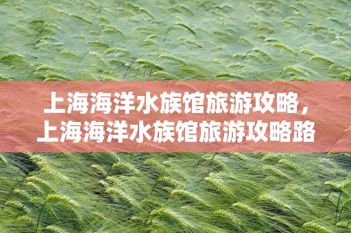 上海海洋水族馆旅游攻略，上海海洋水族馆旅游攻略路线
