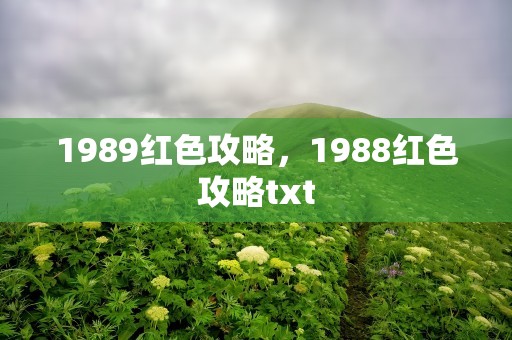 1989红色攻略，1988红色攻略txt