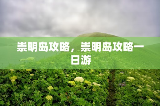 崇明岛攻略，崇明岛攻略一日游