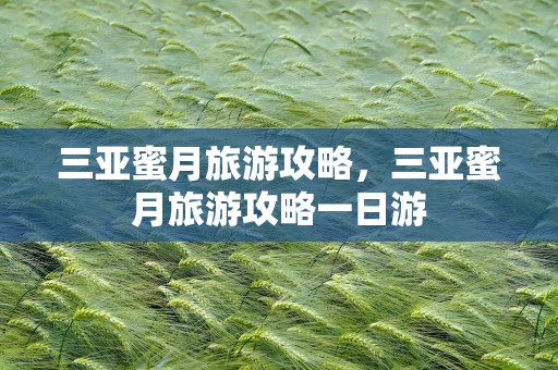 三亚蜜月旅游攻略，三亚蜜月旅游攻略一日游