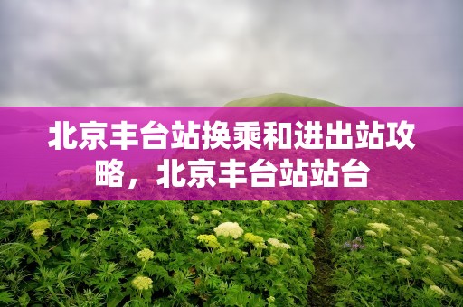 北京丰台站换乘和进出站攻略，北京丰台站站台