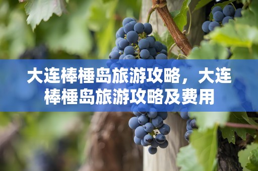 大连棒棰岛旅游攻略，大连棒棰岛旅游攻略及费用